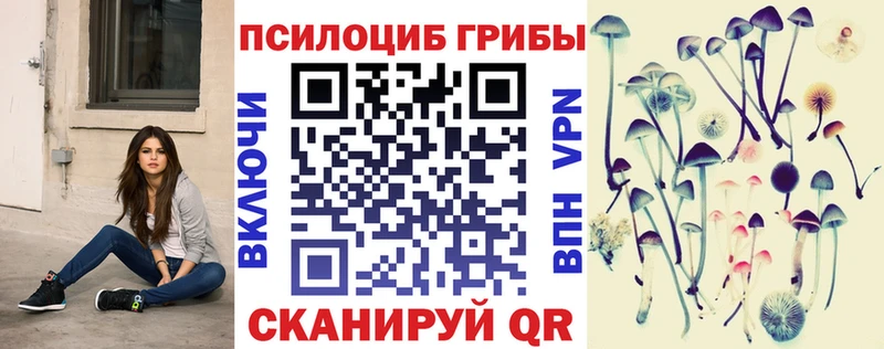 Купить  Волгоград  Галлюциногенные грибы Psilocybe 